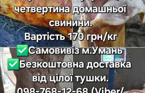 Тушка, свинини, баранини,ягнятини, курятини