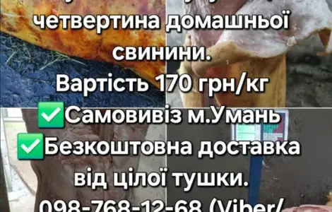Тушка, свинини, баранини, ягнятини, курятини