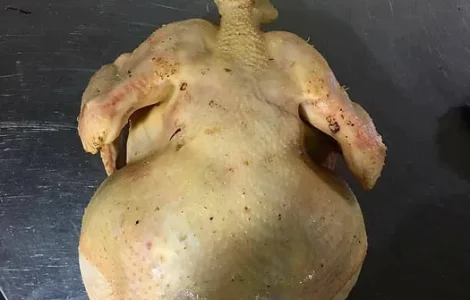 Мясо курицы, тушки бройлеров, утки, цыплята опт