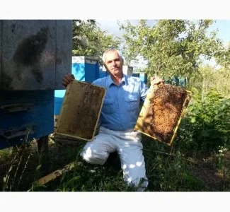 Продаются бджолопакеты