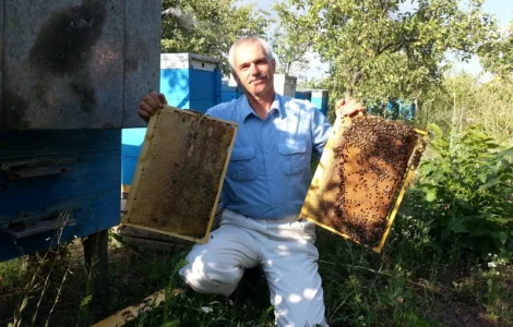 Продам бджолопакети з власної пасіки