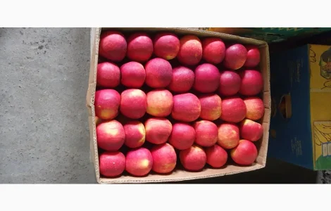 Пропонуються яблука високої якості