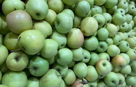 Продаются яблоки сорта Голден и Джерамин