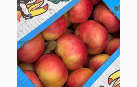 Продаются яблоки различных сортов