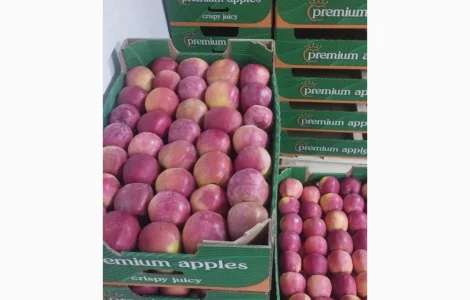 Продается яблоки отличного качества