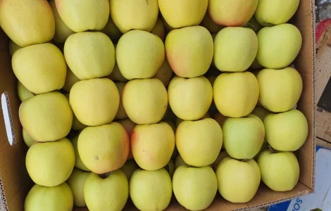 Продаются яблоки отличного качества