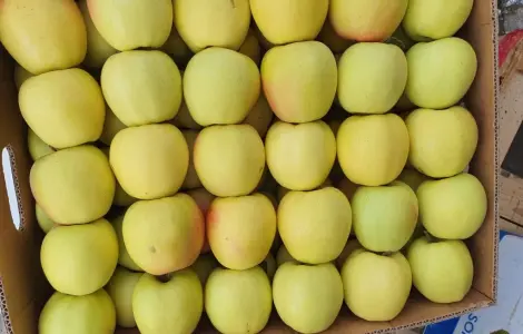 Продаются яблоки отличного качества