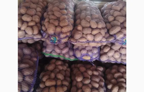 Продам товарный картофель