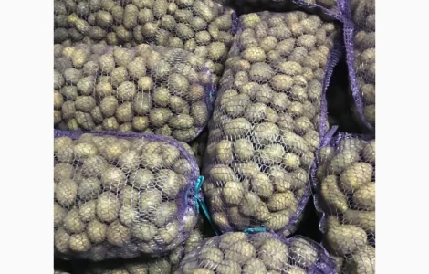 Пропоную насінневу картоплю сорту Арізона