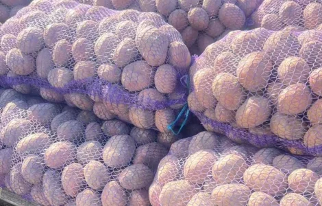 Картопля від населення