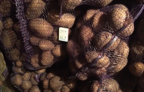 Пропонується якісна товарна картопля