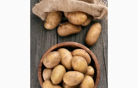 Куплю картофель оптом от 20 тонн