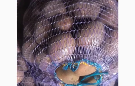 Продается товарная картошка сорта Беларосса