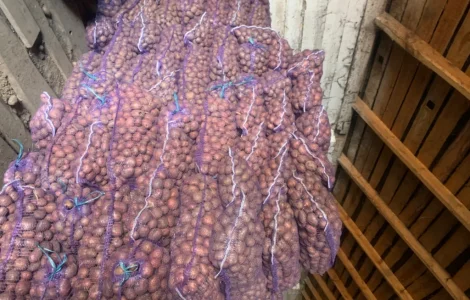 Продается семенной картофель