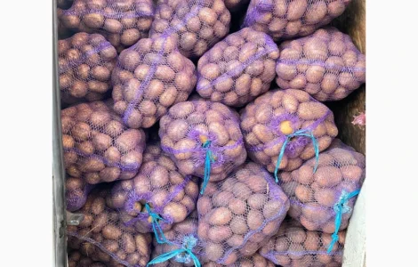 Продаж картоплі різних сортів