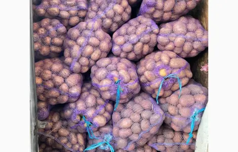 Продам велику картоплю