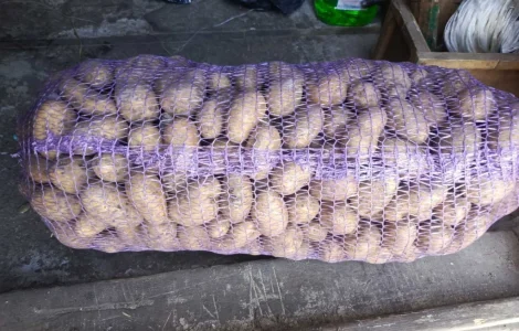 Продается семенная картошка различных сортов