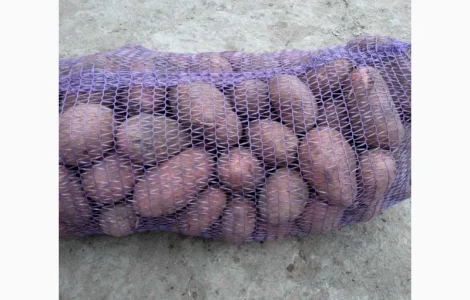 Продается семенная картошка различных сортов