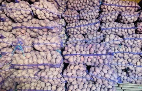 Картопля відбірна на продаж в Виннице