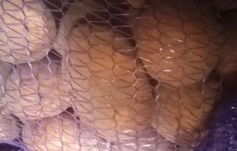 Продается картошка высокого качества