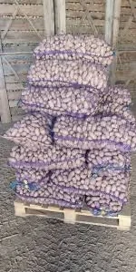 Насіннєва картопля сорту Гранада в Чернігові