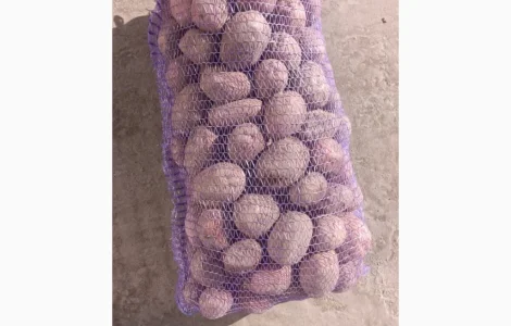 Продажа качественной товарной картошки