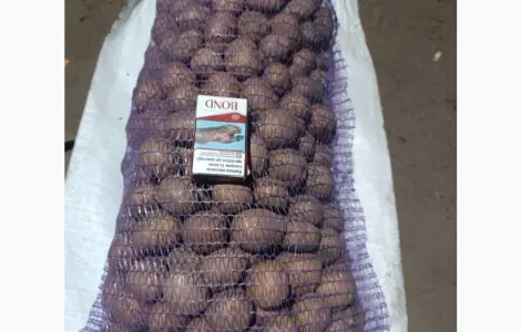 Продам посадочную картошку