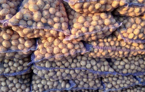 Продажа посадочной картошки сорта Аризона