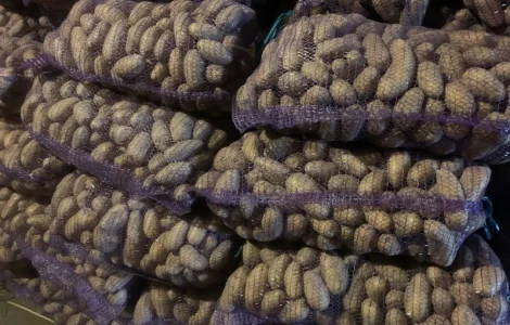 Продается картофель сорт Гренада, Каллет, Беларосса