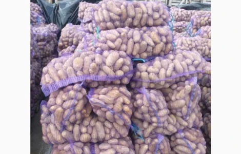 Продажа картофеля оптом по 6 грн за кг