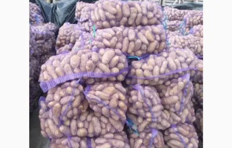 Продаж картоплі в роздріб по 6 грн кг