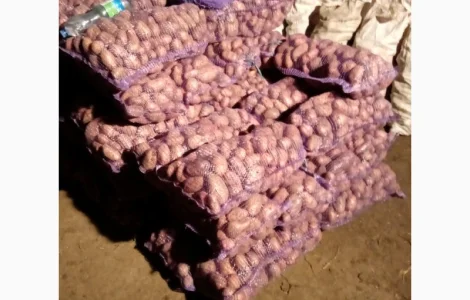 Продается качественная домашняя картошка