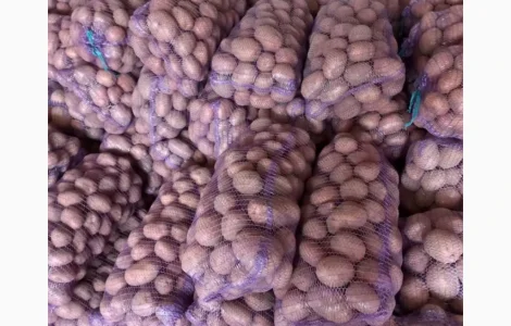 Продается картофель высокого качества