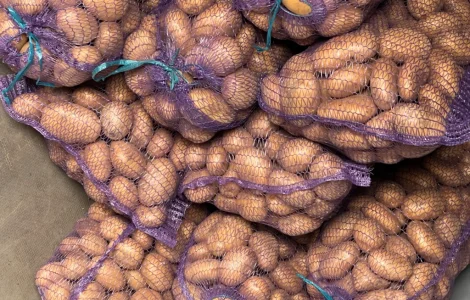 Продается товарная картошка белого и красного сортов