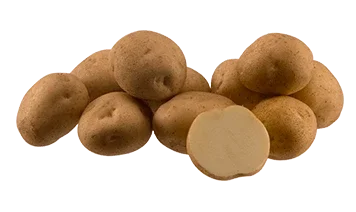 Пропонується картопля насіннєва сортів Рівєра та Беллароса