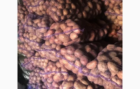 Товарна картопля (Домашня)