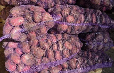 Продажа картофеля разных сортов
