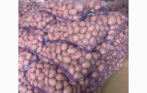 Продается посадочный картофель