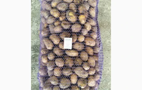 Продажа посадочного картофеля сортов Карелия, Отолия, Белла Роса