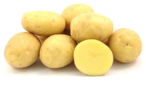 Продается семенной картофель сорта Королева Анна