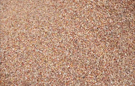 Продается кукуруза для кормления животных