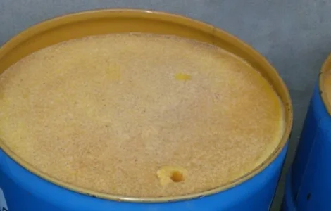 Продается мед оптом