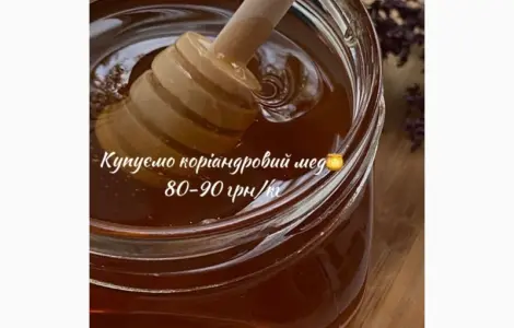 Купуємо Коріандровий мед 80-90 грн/кг