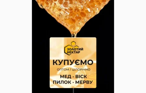 Закупівля меду соняшникового