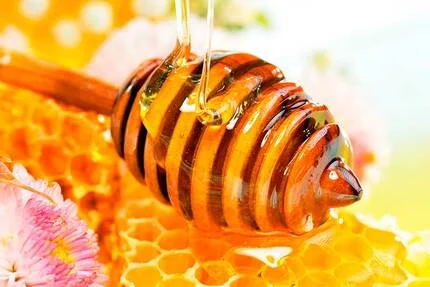 Закупівля меду Липи врожаю 2025