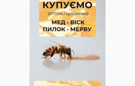 Купуємо мед від 500 кг у Дніпрі