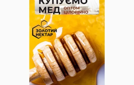 Купуємо липовий мед оптом