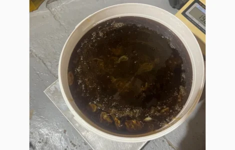 Пропонується гречаний мед урожаю 2025 року