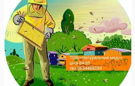 Закупка натурального меда