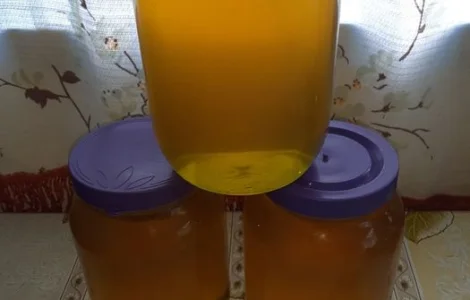 Мед різнотрав'я з власної пасіки